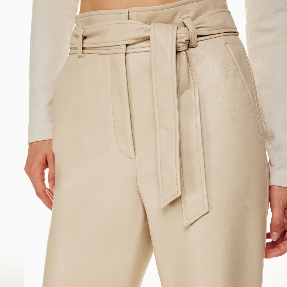 Aritzia Leather Pants